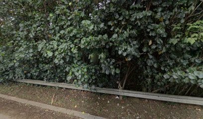 panoidOnnn dXy4psARx yT PN0Acb clientsearch.gws prod.gpsw408h240yaw176.70064pitch0thumbfov100fix